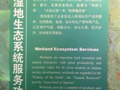 -中国湿地博物馆