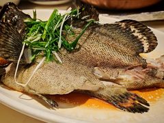 -陶陶居酒家(解放北路店)