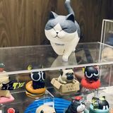 打卡钟书阁，在里面待不过10分钟就出来了