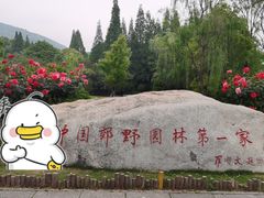 -习家池
