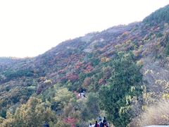 -北京西山国家森林公园