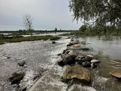 -绿堤公园