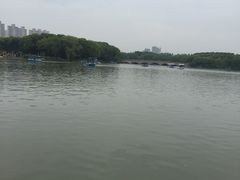 -昆山城市生态森林公园