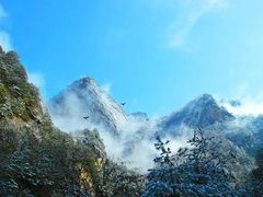 -青峰峡国家森林公园