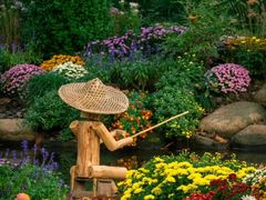 -上海共青森林公园