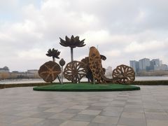 -莲花池公园