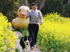 -动邦皮划艇·桨板·独木舟·团建户外运动俱乐部
