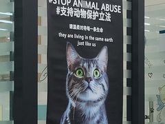 -瑞派雷欧宠物医院·24h夜诊·心脏骨科牙科·全科重症转诊中心(无影山店)