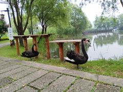 -长兴太湖图影湿地文化园