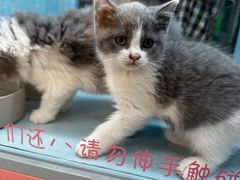-FAELING PETS美天灵宠物(合生汇店)