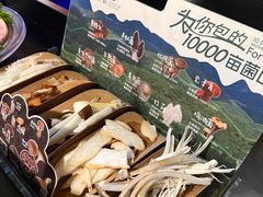 当季野生菌拼盘-芸山季·云南野生菌火锅(人民广场来福士店)