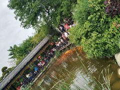 -武汉紫薇都市田园