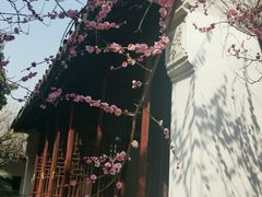 -苏州上方山国家森林公园