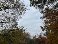 -灵隐飞来峰景区