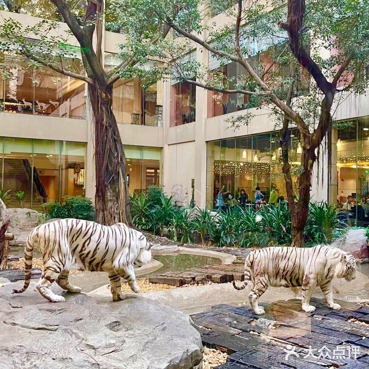 广州🐯娃在长隆白虎餐厅跟老虎用餐又幸福了