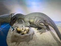 -国家自然博物馆