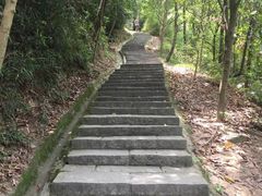 -火炉山森林公园