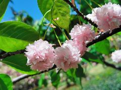 -白塘生态植物园