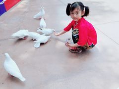 -济南方特东方神画