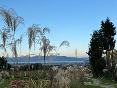 -云禾壹海景庄园餐厅
