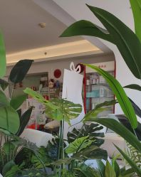 -台湾台婴美月子中心(长沙保利店)