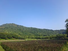 -八卦田遗址公园