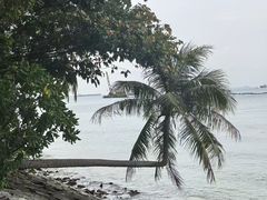 -巴拉湾海滩