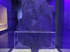 -吉林市博物馆