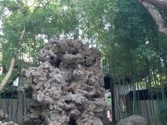 -秋霞圃