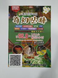 -奇幻丛林(佛罗伦萨小镇店)