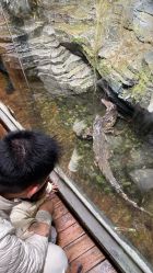 -Zoolung Zoolung动物主题公园(海信广场店)