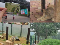 -大连森林动物园