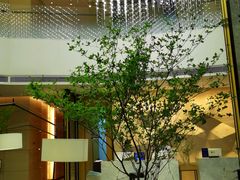 -扬州万怡酒店-中餐厅(文昌中路店)