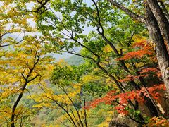 -丹东天桥沟景区