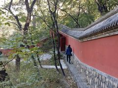 -阳台山自然风景区