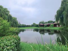 景点-橘子洲景区