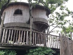 -田园东方蜜桃村的田野营地