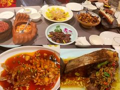 -羲和雅苑•北京烤鸭(平安国际金融中心店)