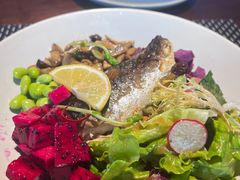 -West10 西拾·西餐厅·创意菜(未来科技城店)