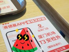 -厦门高崎国际机场-T3航站楼