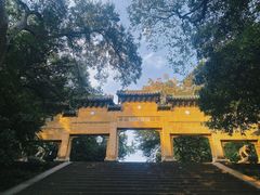 -灵谷景区