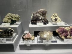 -湖南省地质博物馆