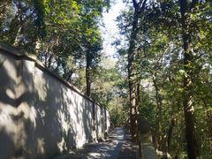 -上海佘山国家森林公园西佘山园