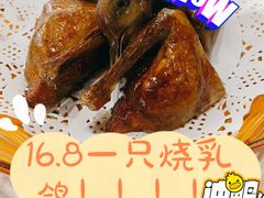 乳鸽-渔鸽皇酒楼(鸿大广场店)