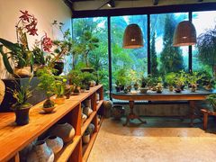 -自由生长植物工作室(深港花卉中心店)