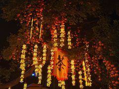 -田园印象·成都土菜院子(华阳店)