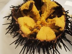 -日丰园海肠水饺·老字号大连海鲜(小平岛总店)