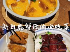 -新白鹿餐厅(城西银泰城店)