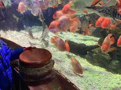 -太平洋海底世界