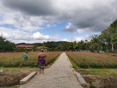 -三亚珠江南田温泉度假区